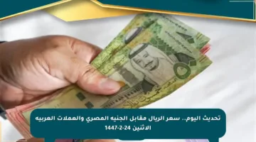 تحديث اليوم.. سعر الريال مقابل الجنيه المصري والعملات العربية الاثنين 24-2-1447